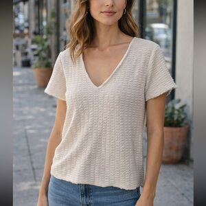 Zara Metallic Knit V-neck Short Sleeve Scallop Edge Cropped Top